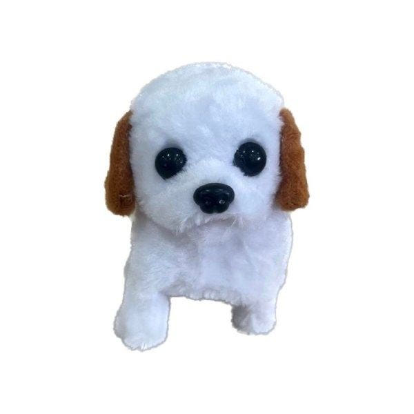 a5a81b91-3a26-47ea-93f8-a10c62bfbfe3